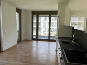 Wohnraum mit Einbauküche