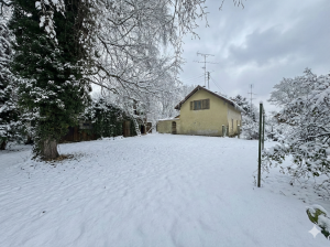 Rückseite Grundstück