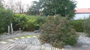 Garten mit Südterrasse