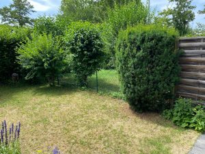 Garten (KI-bearbeitet)