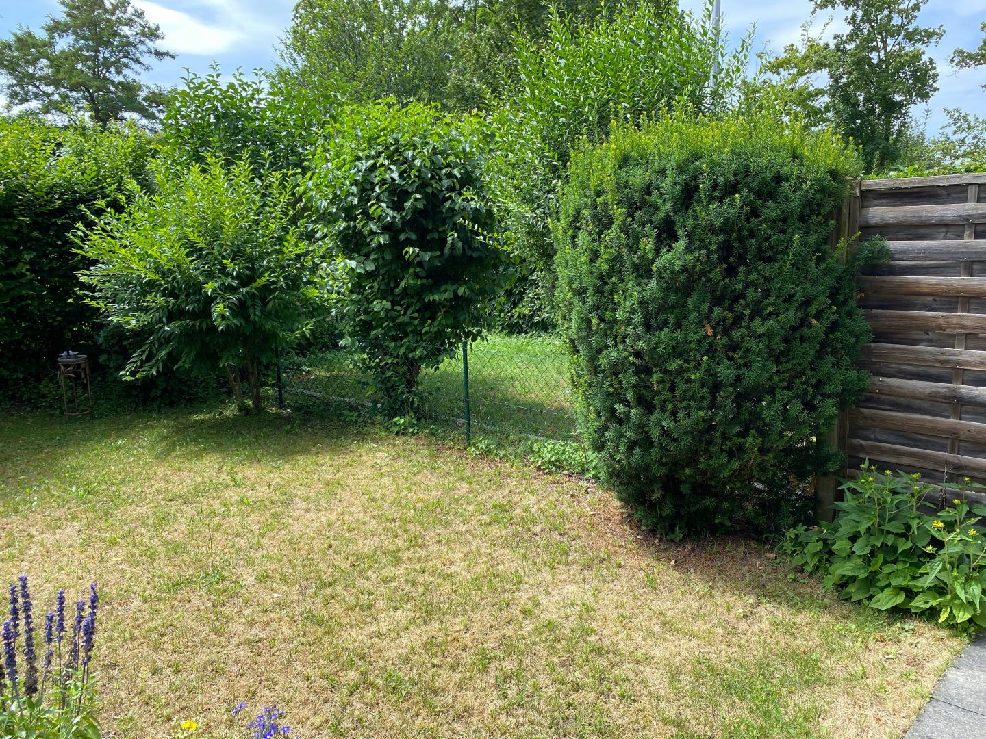 Garten (KI-bearbeitet)