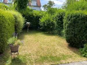 Garten (KI-bearbeitet)