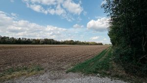 Umgebung