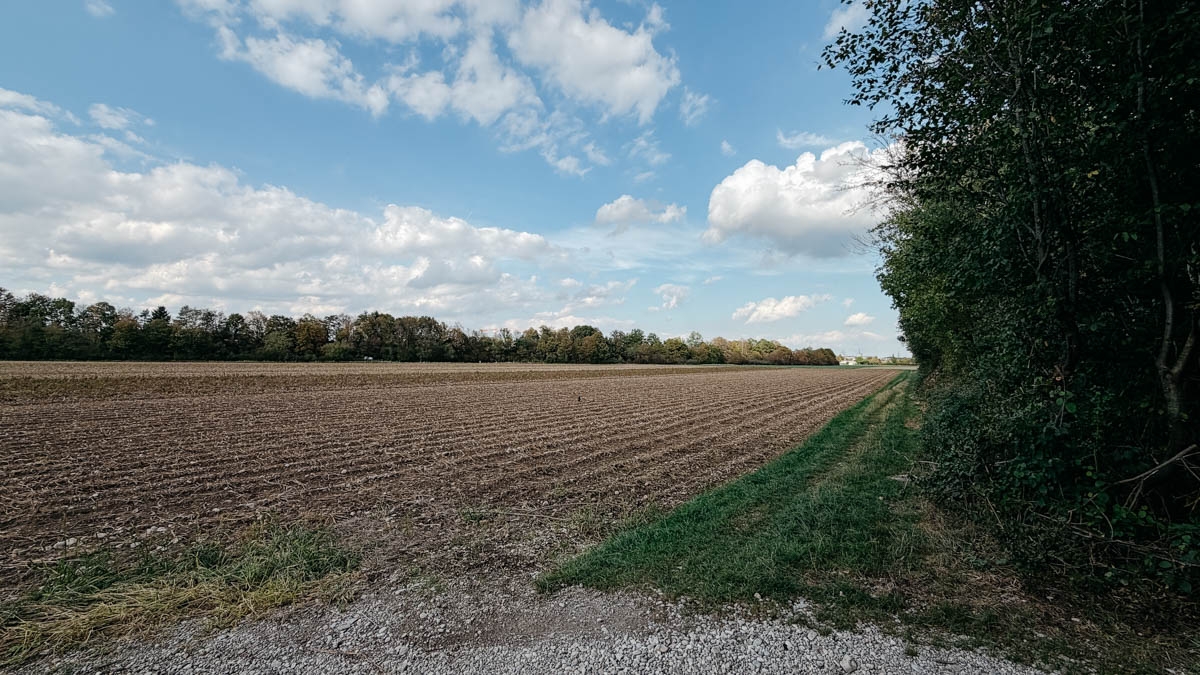 Umgebung